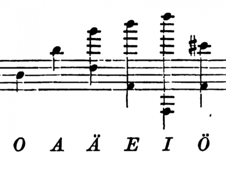 Vowels in the human voice